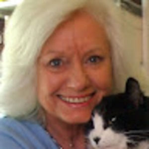 Meet your Posher, Gail